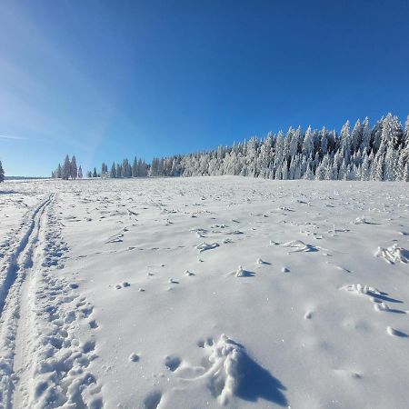 Apartman Spa Sumava Zdíkov 外观 照片